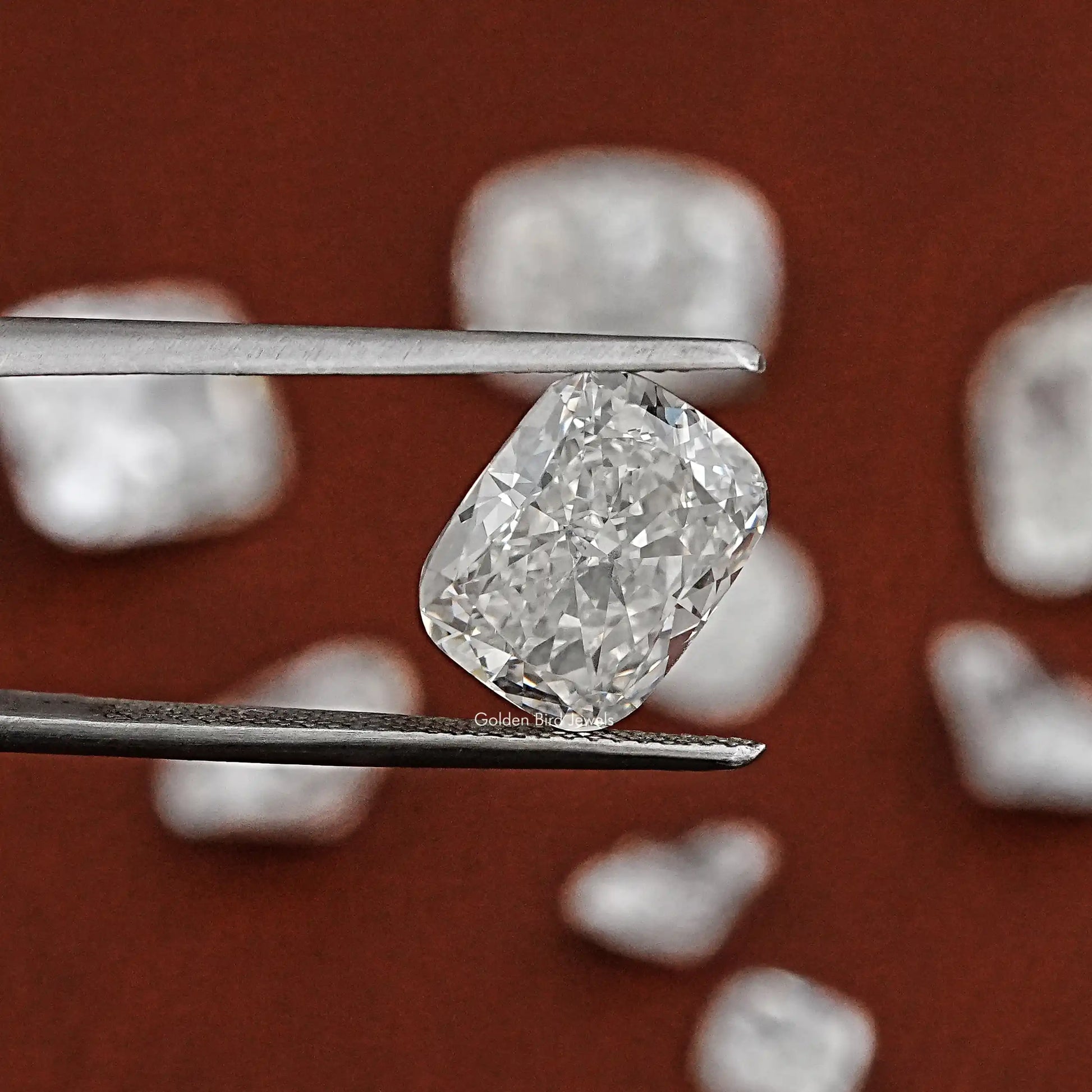 Twijer hold Elongated Cushion Cut Loose Lab Diamond