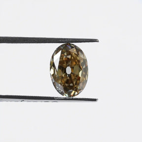 [In tweezer front view of brown old mine cut oval loose moissanite]-[Golden Bird Jewels]