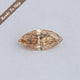 Champagne Marquise Cut Loose Moissanite