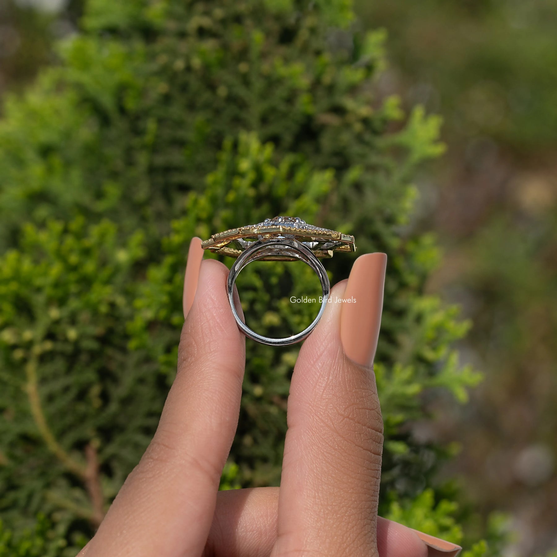 Round Cut Moissanite Cluster Engagement Ring