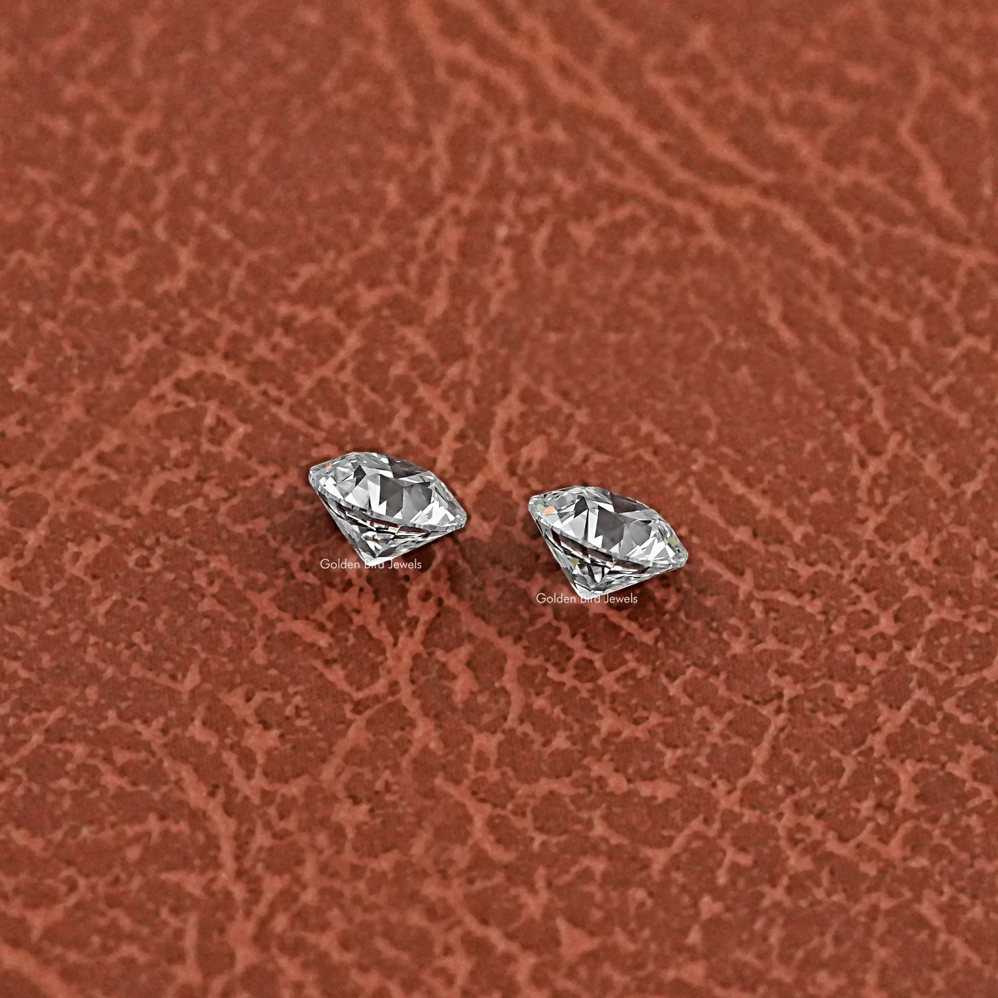 Close-Up View of Old European Round Cut Diamond Pair In White
