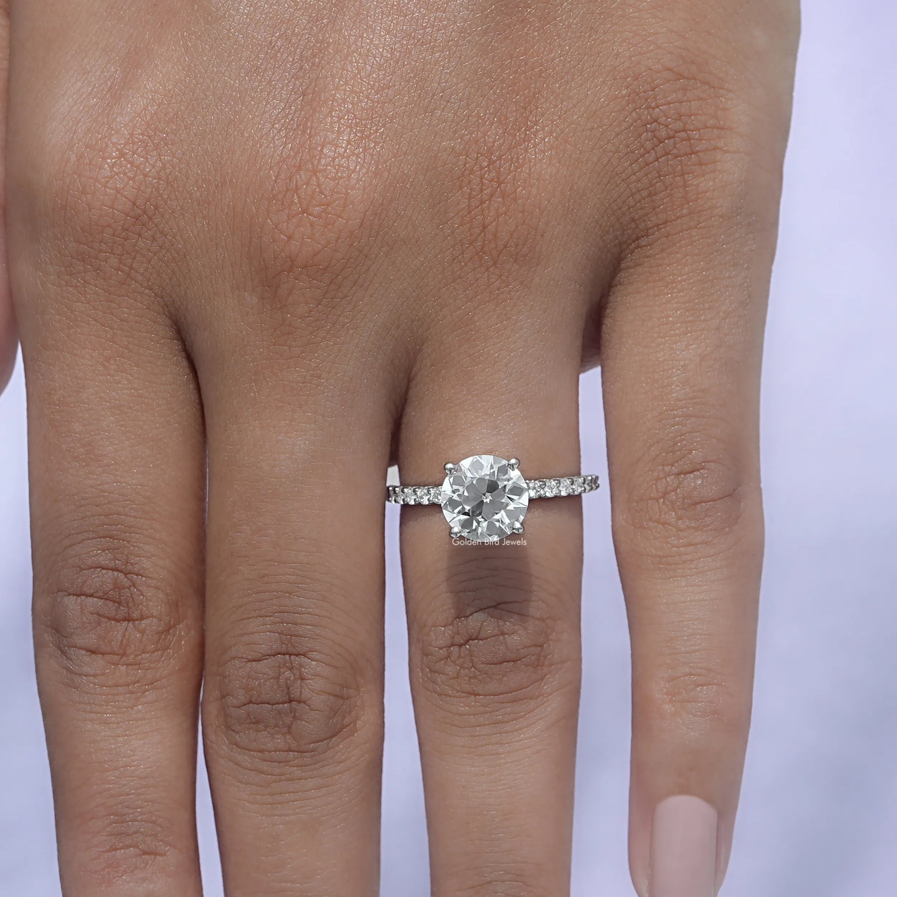 Detailed View of Round Cut Diamond Engagement  Ring In White Gold